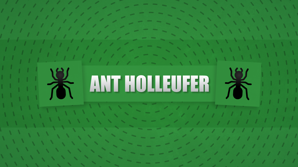 A text that reads 'Ant Holleufer' on a green background with two illustrated ants next to it.
