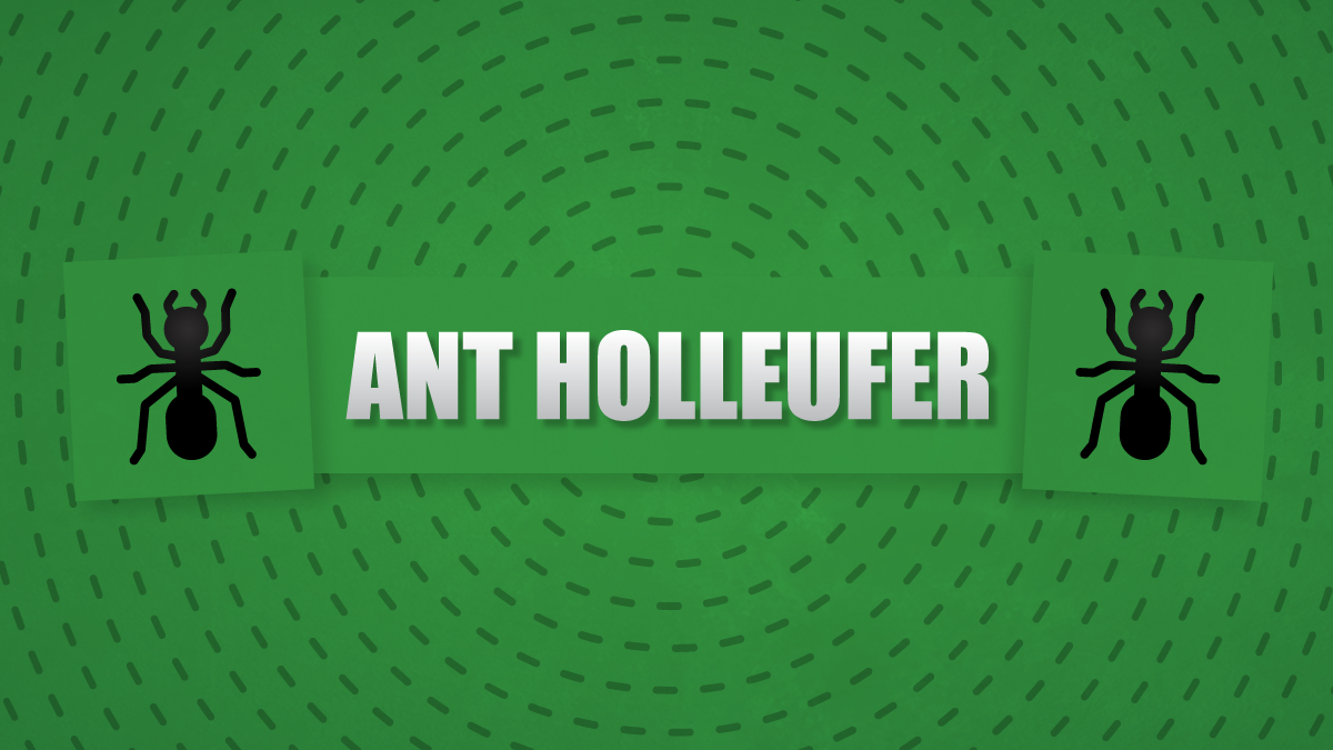 A text that reads 'Ant Holleufer' on a green background with two illustrated ants next to it.