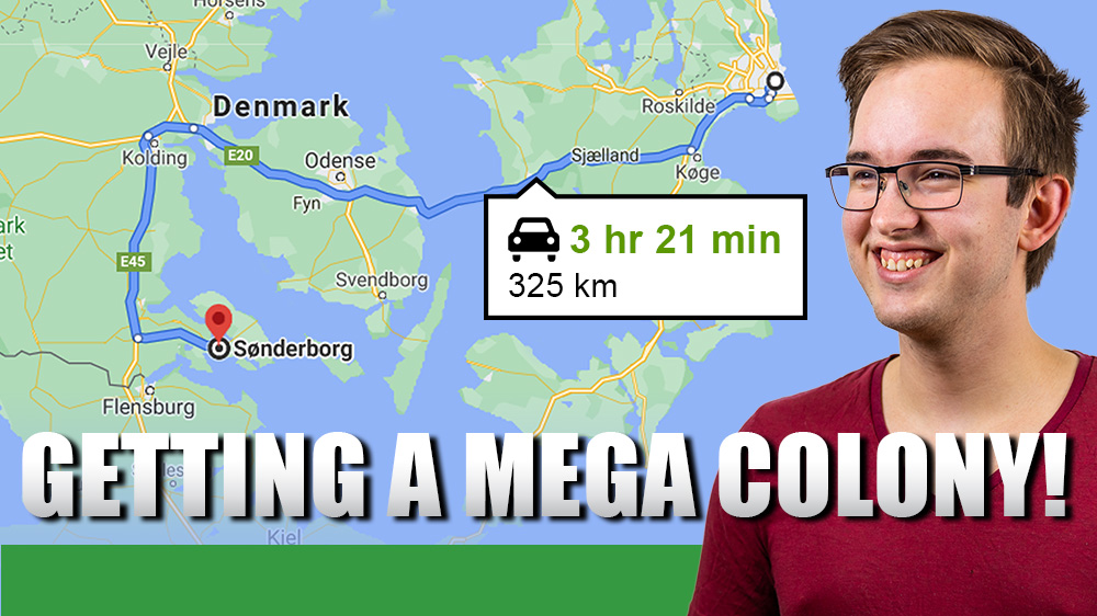 A man looking happy next to a map of Denmark.