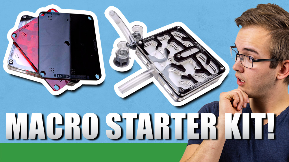 A man looking at a macro ant starter kit.