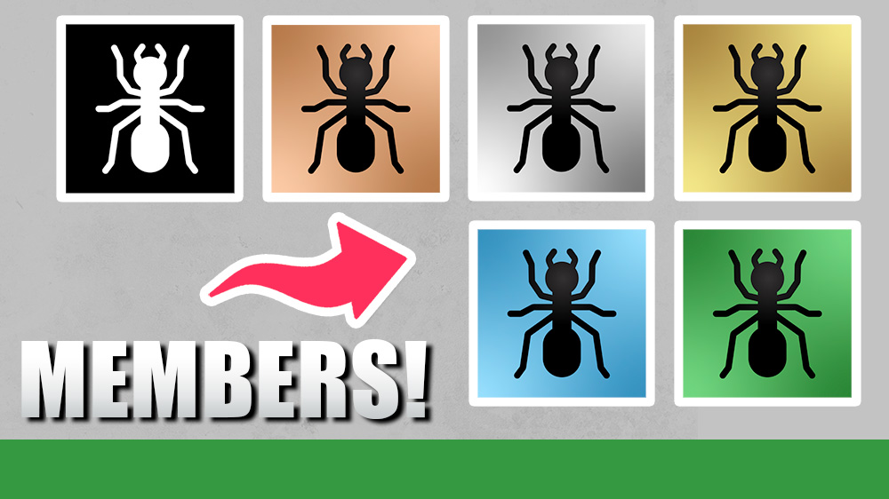 Six different illustrations of ants on various backgrounds.