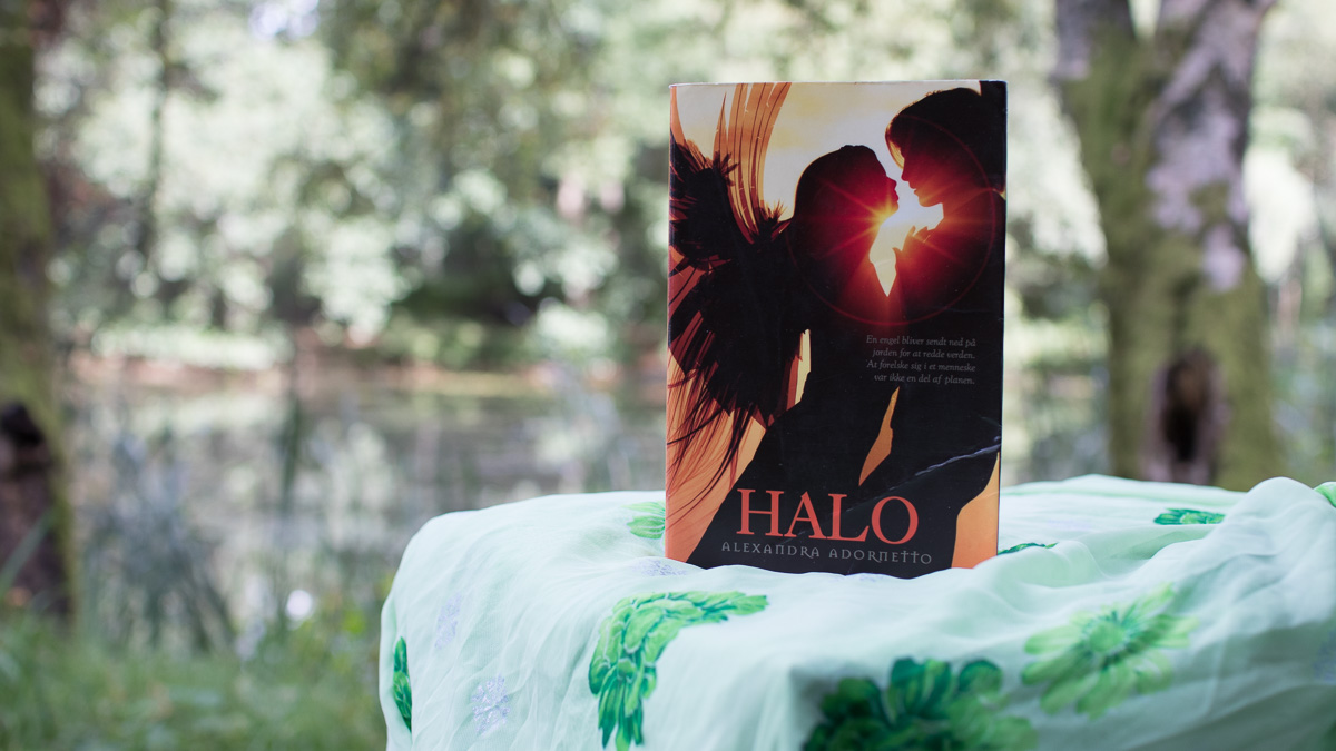 A book standing on a cloth.
