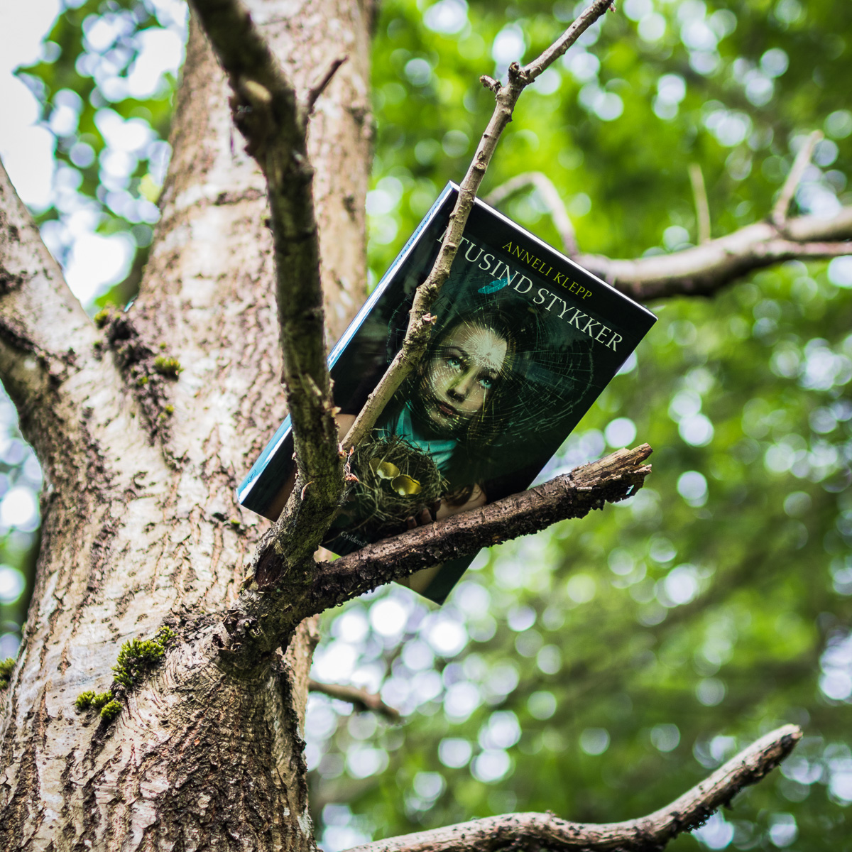 A book lying on a branch.