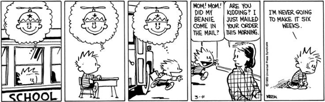 Calin and Hobbes comic.