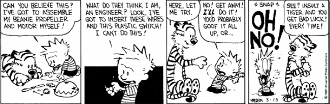 Calin and Hobbes comic.