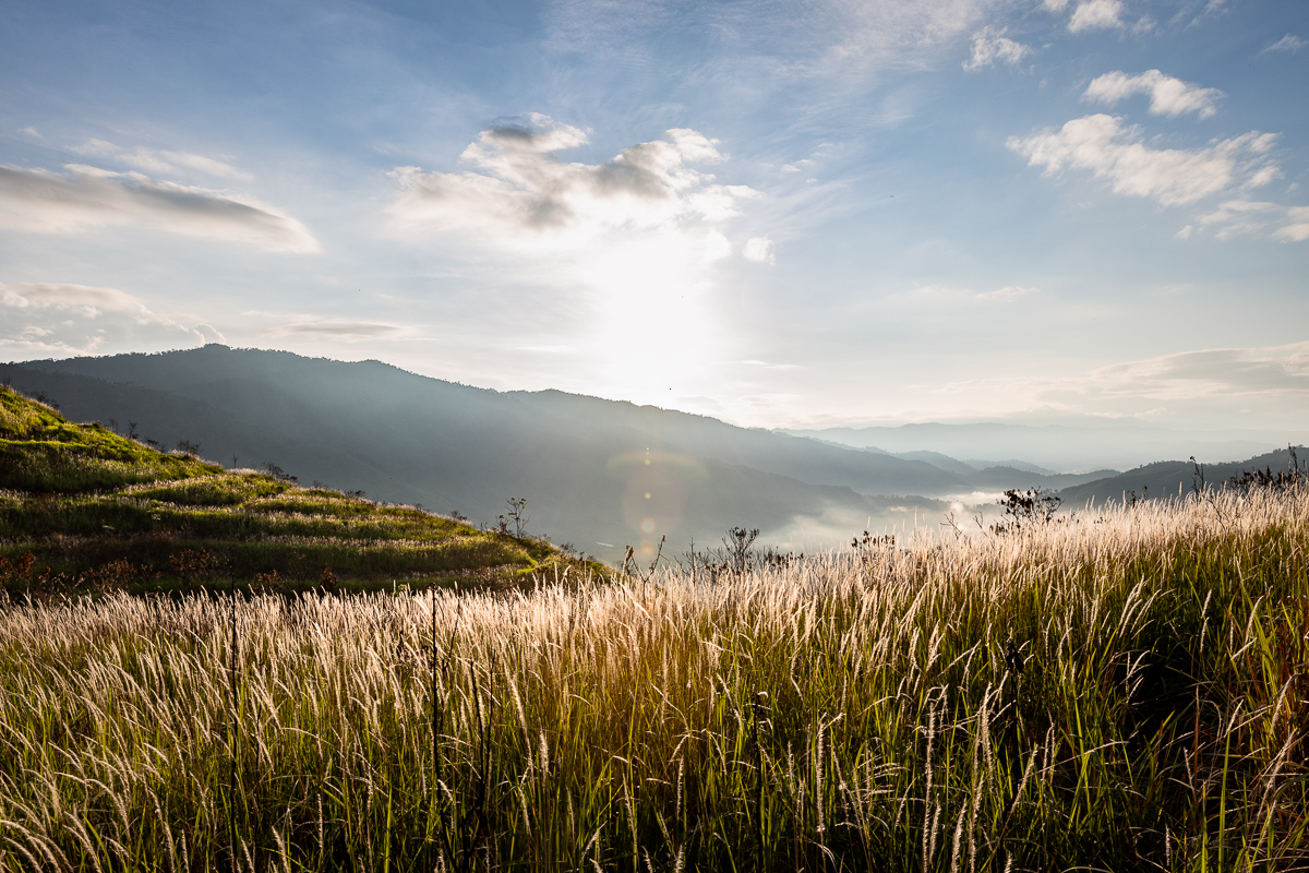 A view from a hill at sunrise.